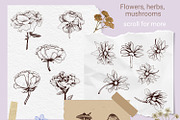 Forest Walk, an Animal Illustration by TatianaCociorva (Thumbnail 2 of 6)