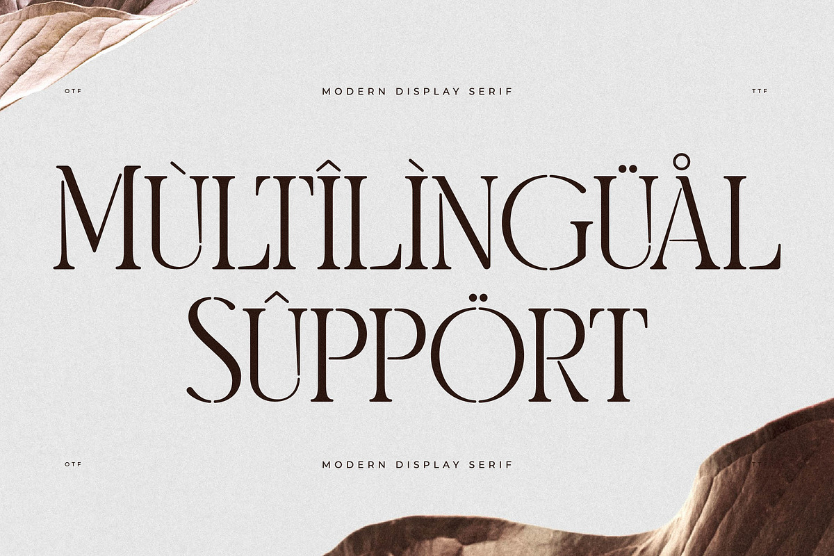 Morelan Modern Display Serif, a Serif Font by Storytype Studio (Photo 12 of 15)