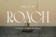 Roach - Modern Display Typeface, a Serif Font by Sohel Studio (Thumbnail 1 of 11)