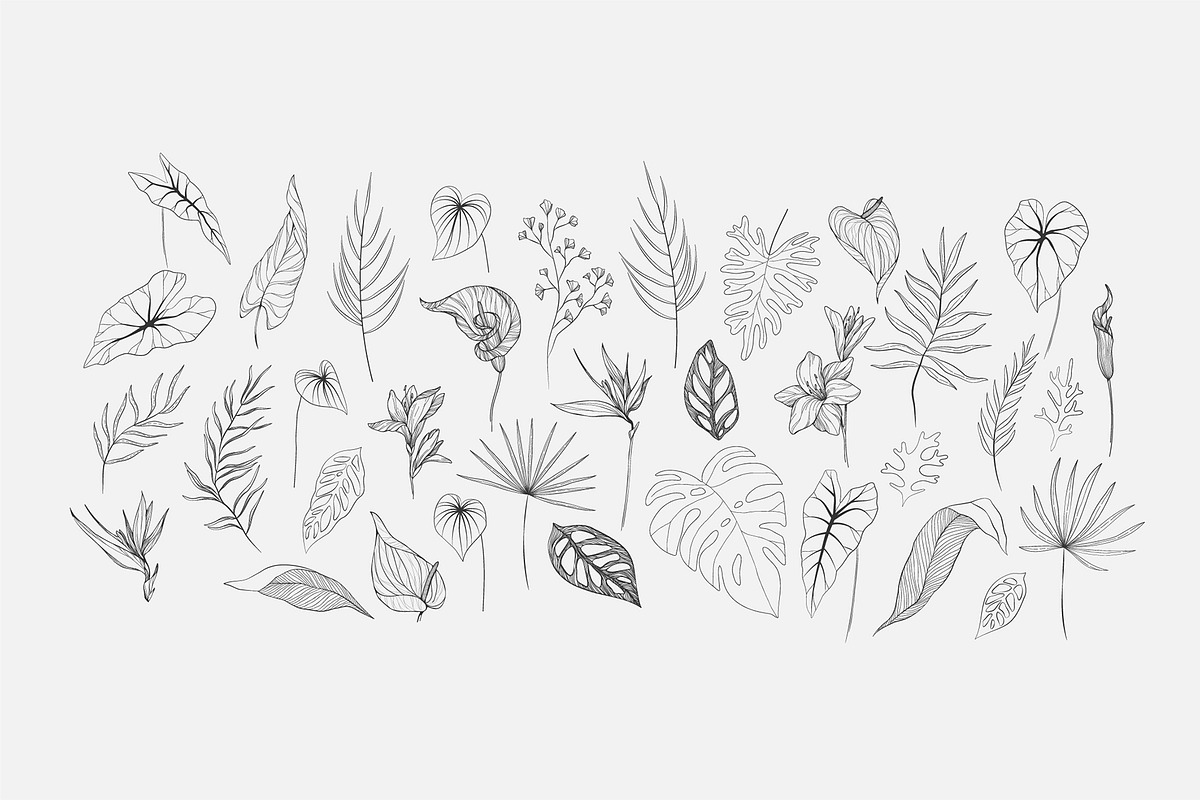 Tropical collection, a Decorative Illustration by Merfin (Photo 4 of 10)