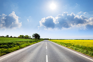 Countryside sunny landscape