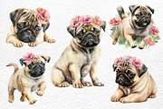 Playful Pugs. Watercolor, an Animal Illustration by Watercolor dreams (Thumbnail 2 of 6)