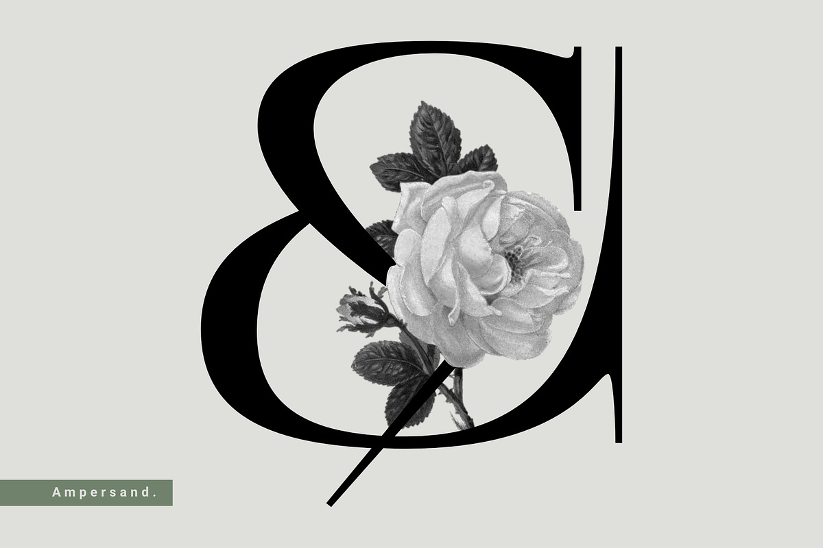 Central Display, a Serif Font by Prioritype Co (Photo 5 of 10)