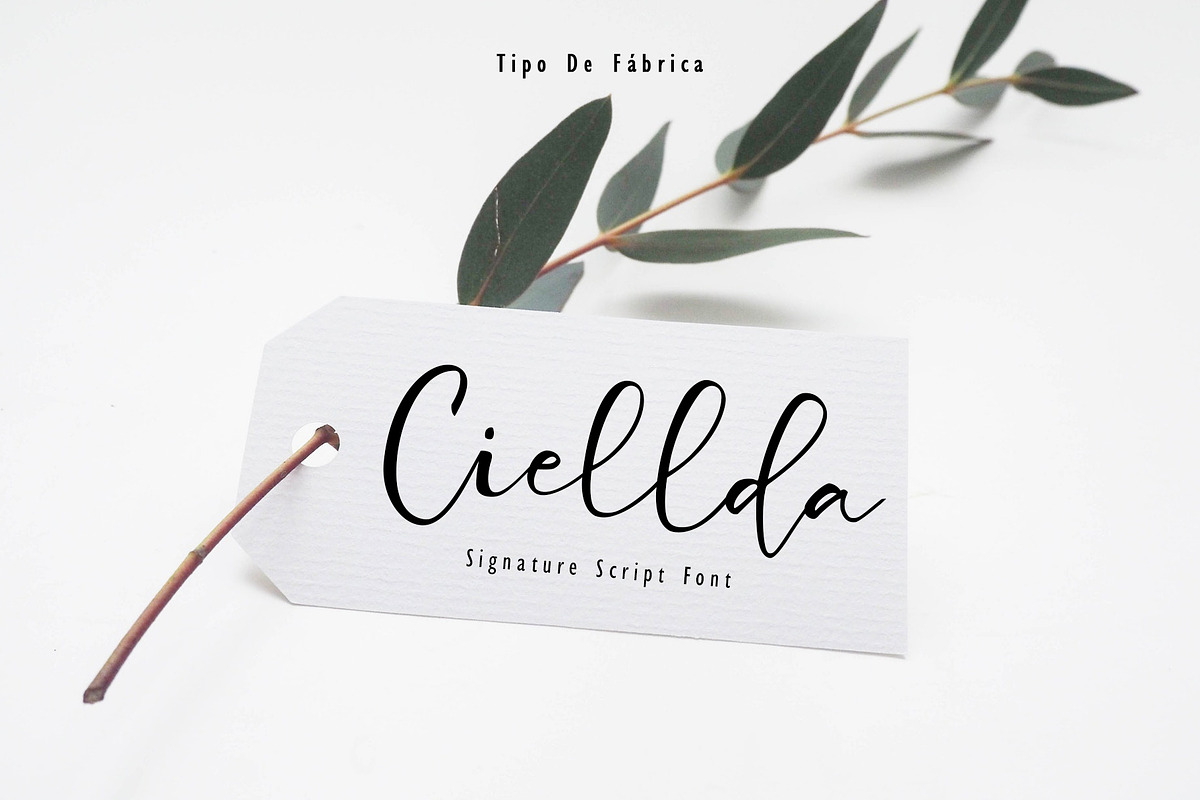 Ciellda || Signature Script Font