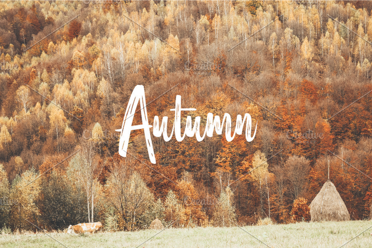 Autumn  with colorful forest, a Nature Photo by Three Design (Photo 1 of 2)