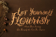 WynsteraQalis Decorative Floral font, a Script Font by HypeWorksCo (Thumbnail 15 of 24)