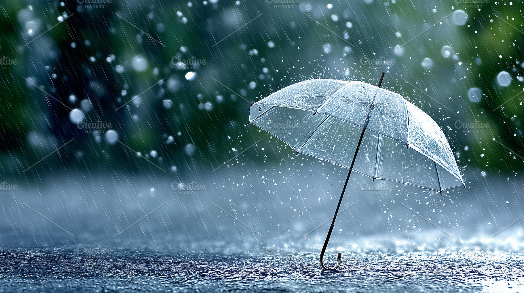 Transparent umbrella in rain, a Nature Photo by MistyDay