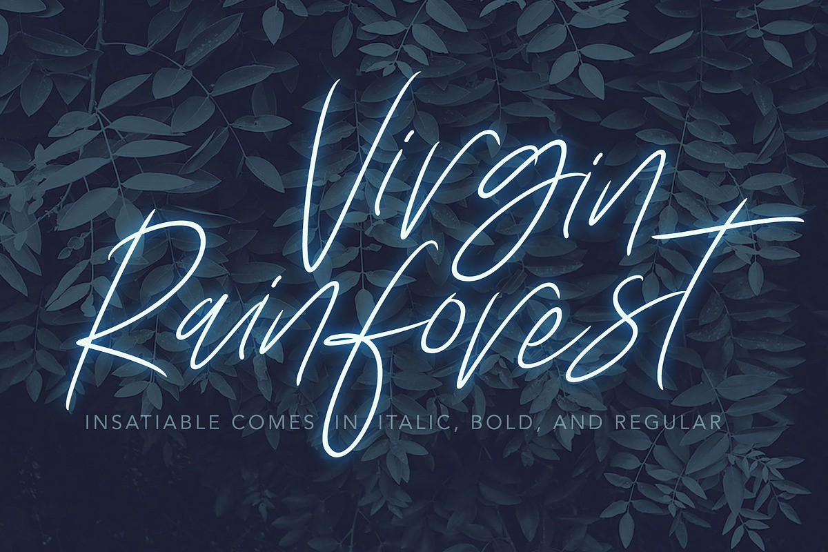 Lovely Script Bundle, a Script Font by Digital Hustler (Photo 13 of 33)