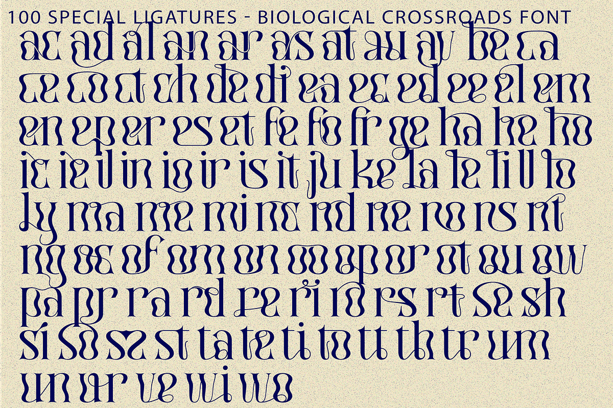 Biological Crossroads - Psychedelic, a Serif Font by 177Studio (Photo 8 of 8)