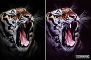 Modern Paint Photoshop Actions, an Action Add-On by FilterGrade (Thumbnail 3 of 11)