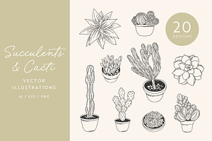 Succulents Vector Illustrations