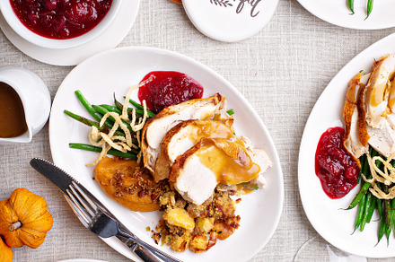 Traditional Thanksgiving plates with turkey and sides, a Food & Drink Photo by farwasser