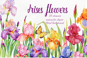 Iris Flowers. Watercolor Clipart