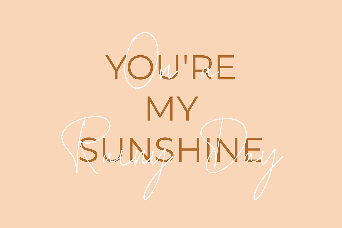 Metafora Signature Script Font, a Script Font by NTC Graphic (Photo 3 of 9)