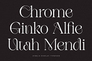 Kigelio | Display Serif, a Serif Font by Ivan Rosenberg (Thumbnail 3 of 12)