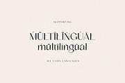 Letanger Elegant Deco Serif, a Serif Font by Cruzine (Thumbnail 9 of 9)