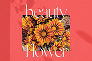 Gallient, a Serif Font by DYSA Studio (Thumbnail 13 of 15)