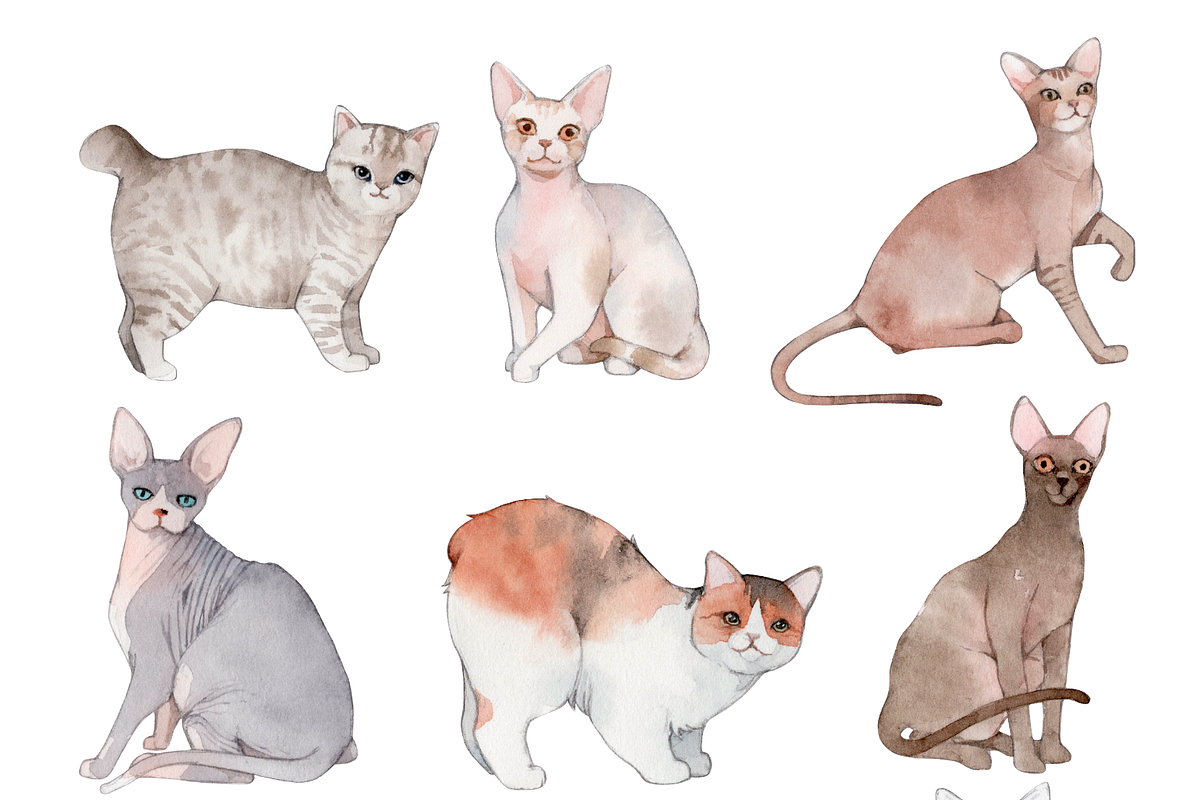 50 Hand-drawn Watercolor Cats, an Animal Illustration by ArtbyHien (Photo 5 of 7)