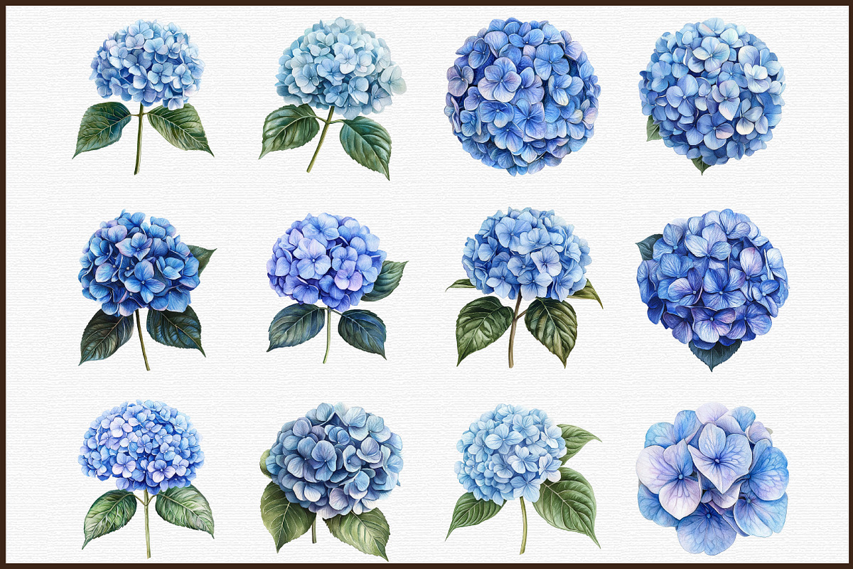 Blue Hydrangea Watercolor Clipart, an Illustration by Sublimation Artist (Photo 3 of 6)