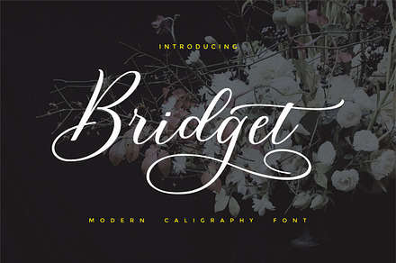Bridget Script, a Script Font by cooldesignlab