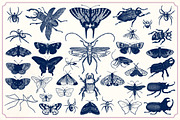 Vintage insects and butterflies, an Animal Illustration by Mr Vintage (Thumbnail 5 of 5)