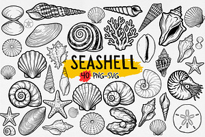 Seashell Clipart SVG PNG