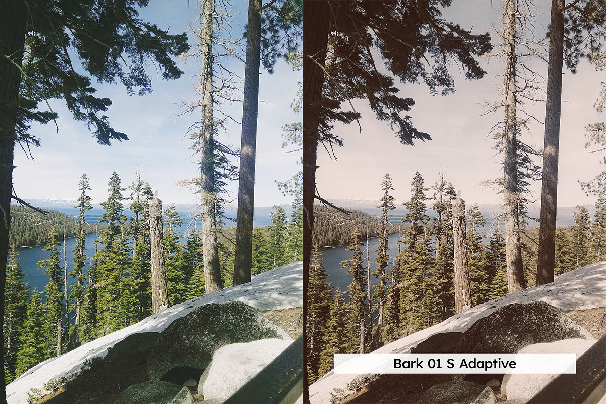 20 Vintage Nature Lightroom Presets, a Preset Add-On by SparkleStock (Photo 12 of 17)