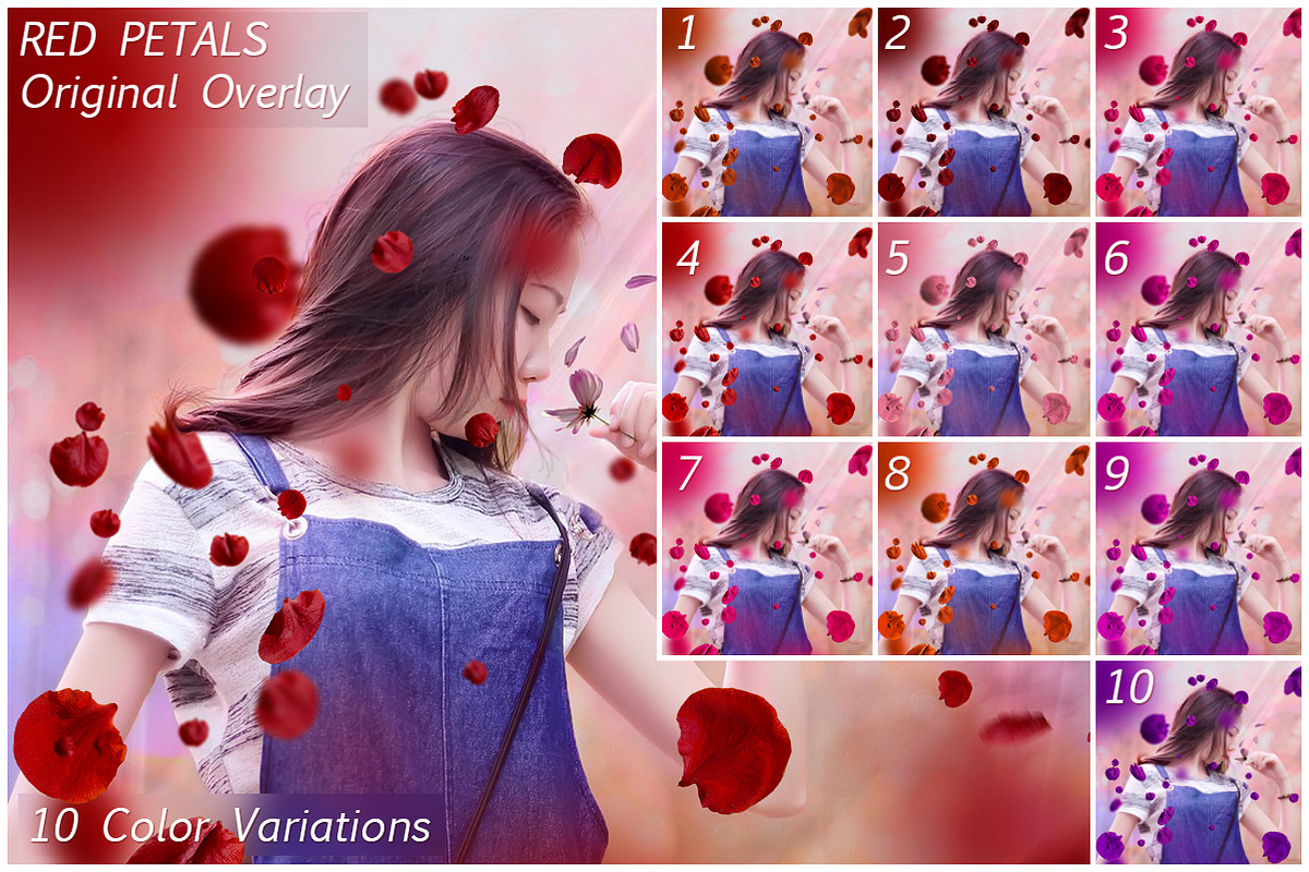 5K Petals Overlays, an Object Graphic by ArtPlanet (Photo 8 of 12)