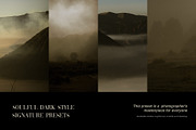 Soulful looks like film Presets, a Preset Add-On by Lookslabs (Thumbnail 2 of 7)
