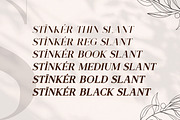 Stinker - Modern Serif Family, a Serif Font by Mokatype Studio (Thumbnail 10 of 11)
