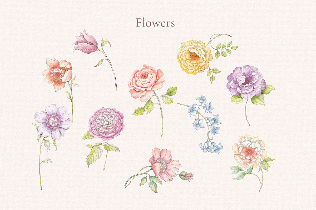 Floral Charme Vintage floral clipart, a Decorative Illustration by Ekaproeka (Photo 2 of 6)