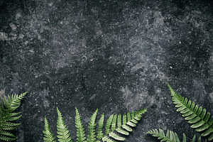 Fern Leaves on Textured Dark Background, a Health & Medical Photo by Natalia Klenova's Shop