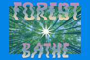 Foxy a Hand-lettered Modern Display, a Handwritten Font by Eryn Rose Design (Thumbnail 7 of 12)