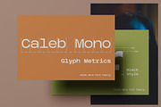 Caleb Mono Font Family, a Sans Serif Font by Ryul Davidson (Thumbnail 2 of 19)