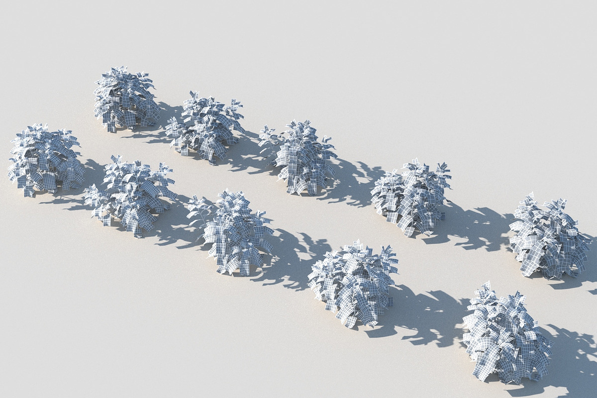 Melissa officinalis, an Environmental 3D Model by happy brush (Photo 6 of 8)