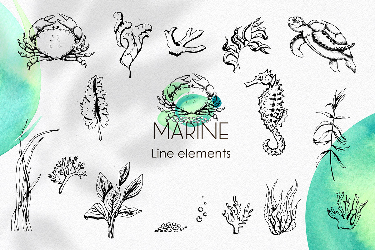 Marine Line & Abstract Art, an Object Graphic by Ana-Sakuta (Photo 13 of 15)