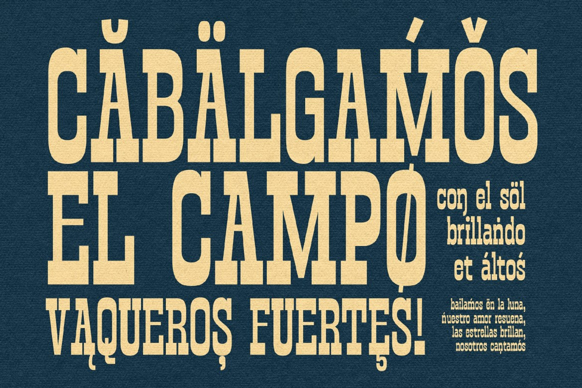 Slabrity, a Slab Serif Font by graphicook (Photo 3 of 10)