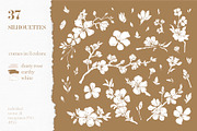Cherry Blossom graphic set, an Illustration by EkaterinaKiriy (Thumbnail 4 of 13)