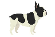 Dog breeds French Bulldog, an Object Graphic by Nenilkime (Thumbnail 2 of 3)