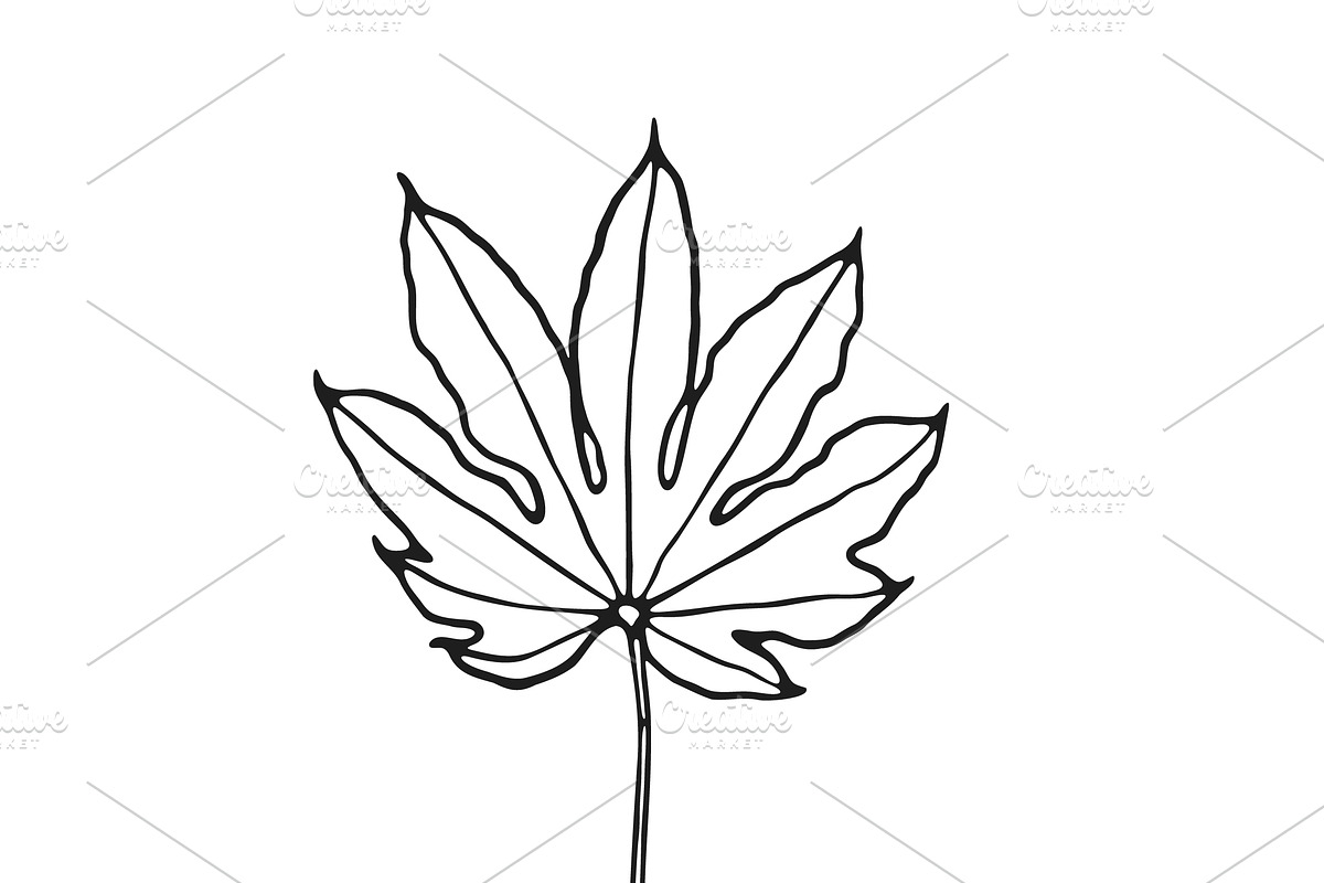 Palm Leaves svg, Botanical png, a Decorative Illustration by Watercolor_Vector Graphic (Photo 25 of 25)