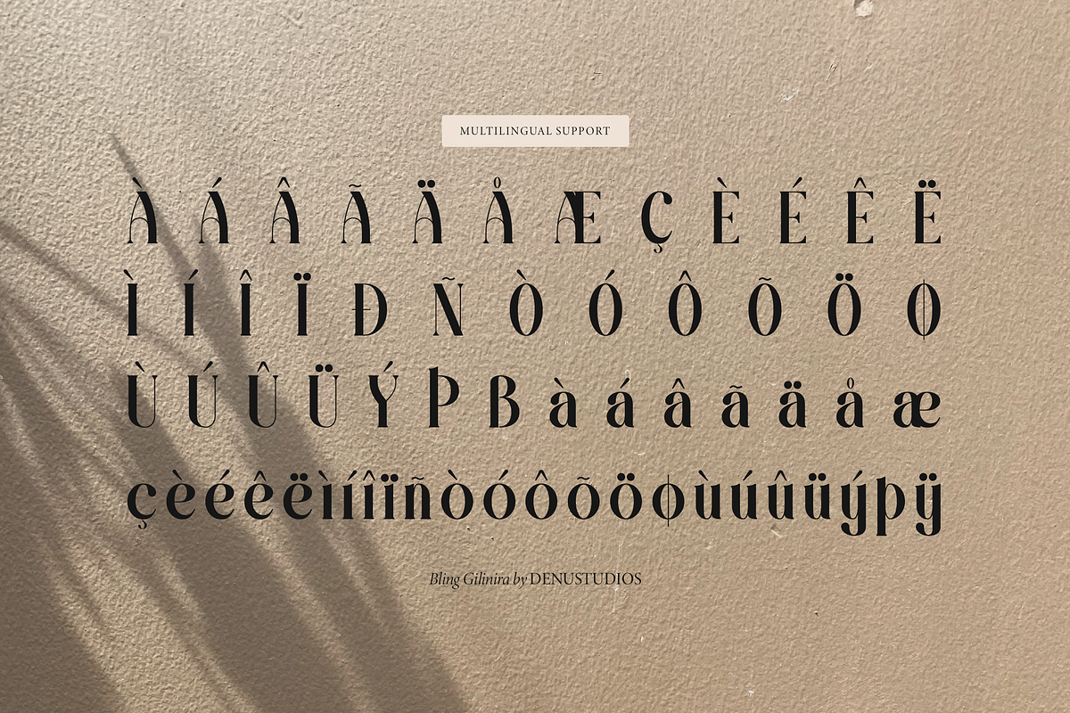 Bling Gilinira | Display Serif Font, a Serif Font by Denustudios (Photo 14 of 15)