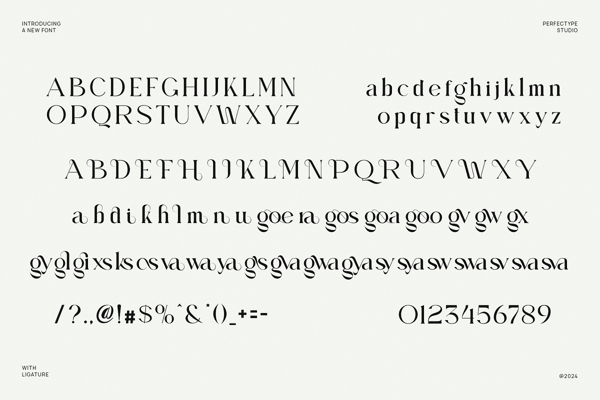Bigorea Elegant Serif Font Typeface, a Serif Font by Perfectype (Photo 5 of 6)