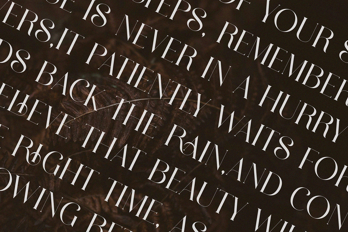 Ravlys - Classy serif, a Serif Font by ToniStudio (Photo 6 of 11)