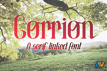 Gorrion
