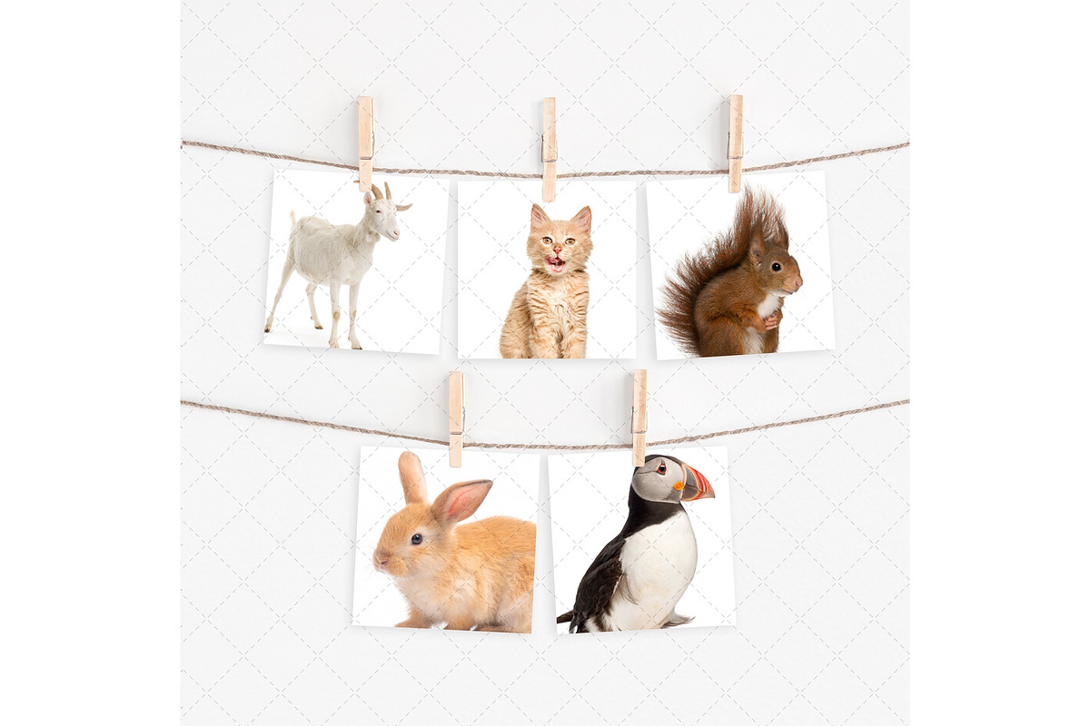 Square cards mockup with clothespins, a Print Template by Dorado Stock (Photo 3 of 3)