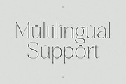 Gestiva Elegant Modern Serif, a Serif Font by Storytype Studio (Thumbnail 12 of 15)