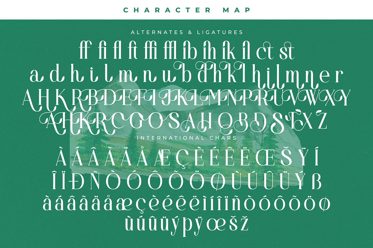 Bastible Modern Serif Font, a Serif Font by Letterena Studios (Photo 14 of 15)