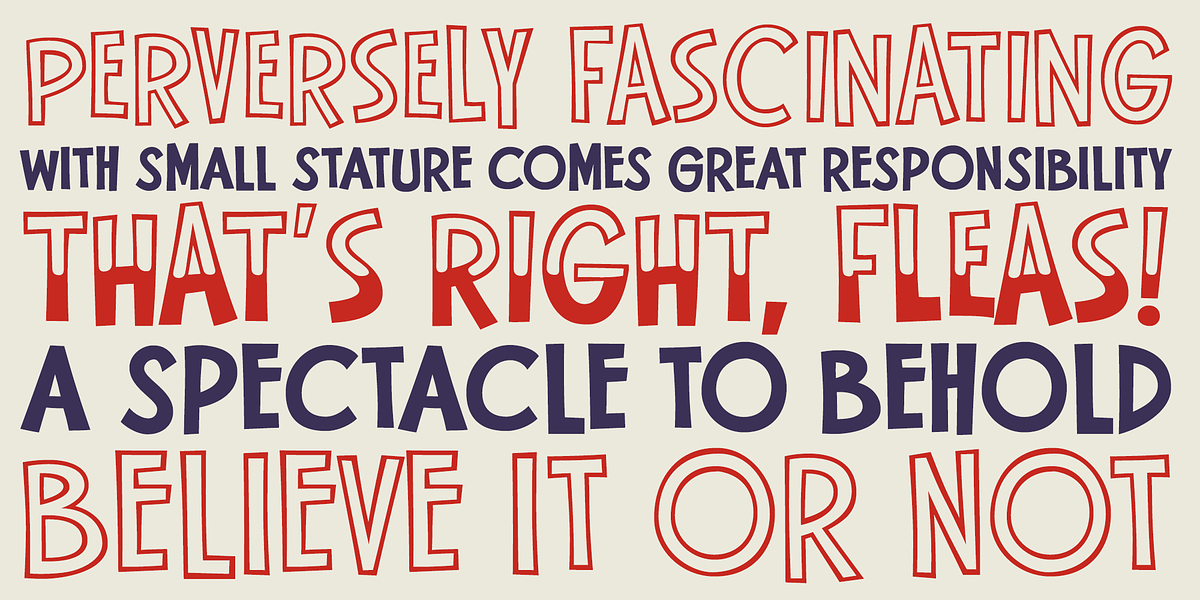 Flea Circus, a Sans Serif Font by One Eyed Squid (Photo 5 of 6)