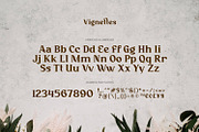 Vignettes - Feminine Type, a Serif Font by ikiiko (Thumbnail 6 of 8)