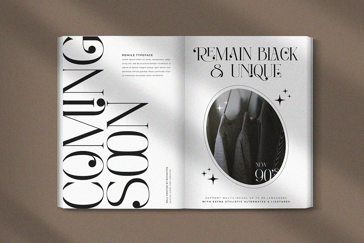 Romile, a Serif Font by Nathatype (Photo 5 of 12)